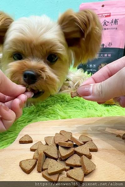 《關健時刻、漢方食補》養生大補帖，挑食的毛小孩超推薦，吃零食
