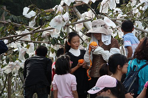 20121109樂哈山-30.JPG