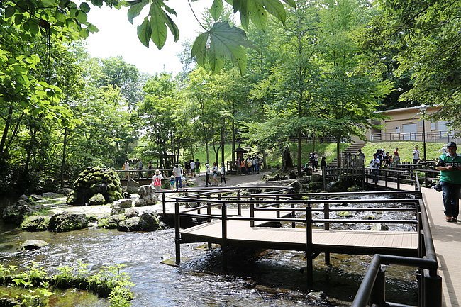 20150802名水公園、瀧野紮營、札幌好市多-19.JPG