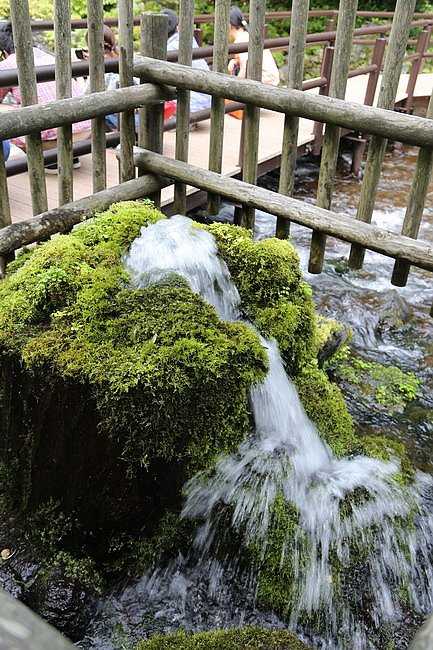 20150802名水公園、瀧野紮營、札幌好市多-21.JPG