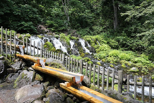 20150802名水公園、瀧野紮營、札幌好市多-22.JPG