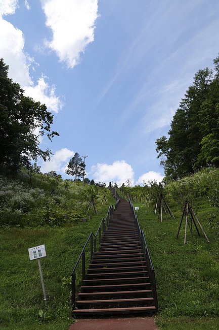 20150802名水公園、瀧野紮營、札幌好市多-34.JPG