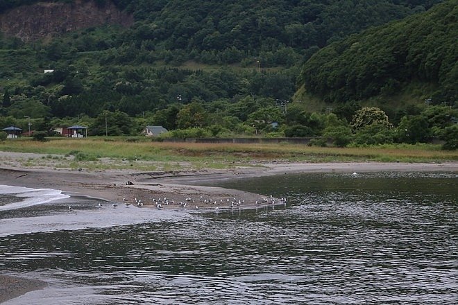 2016071520160715白老ふるさと2000年ポロトの森、室蘭、母戀便當、豊浦海浜公園キャンプ場-128.jpg