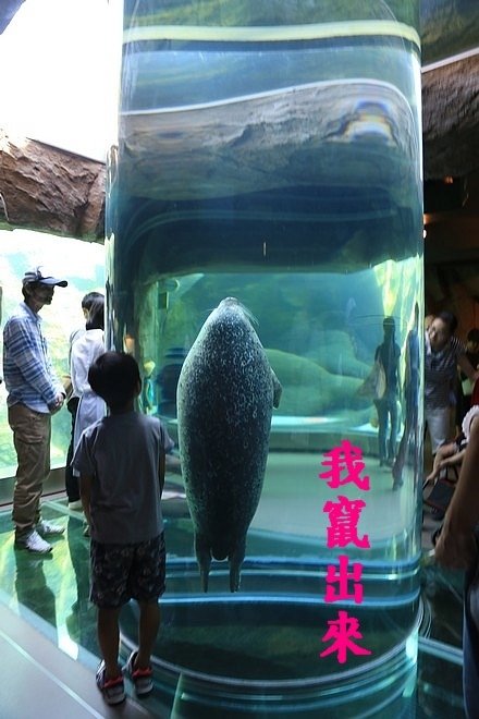 20160724ひがしかぐら森林公園キャンプ場、旭山動物園、成吉思汗 大黒屋 五丁目支店、旭川市區-049.jpg