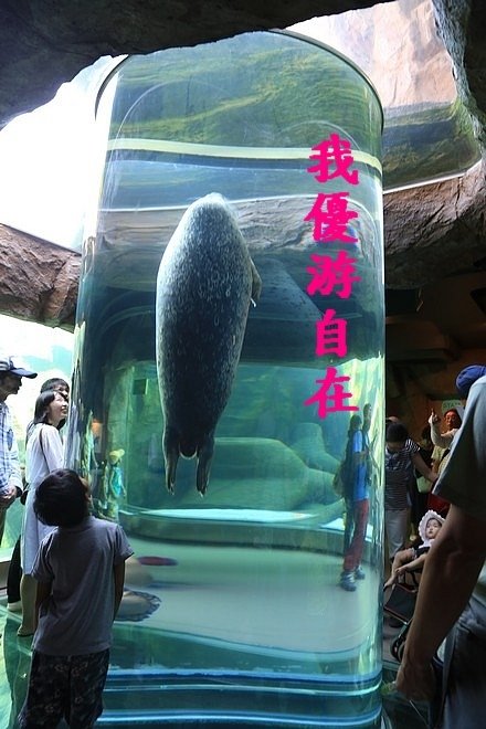 20160724ひがしかぐら森林公園キャンプ場、旭山動物園、成吉思汗 大黒屋 五丁目支店、旭川市區-050.jpg