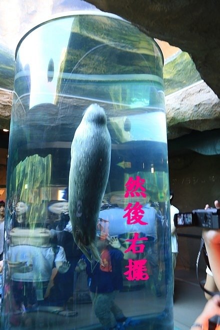 20160724ひがしかぐら森林公園キャンプ場、旭山動物園、成吉思汗 大黒屋 五丁目支店、旭川市區-054.jpg