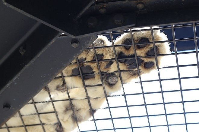 20160724ひがしかぐら森林公園キャンプ場、旭山動物園、成吉思汗 大黒屋 五丁目支店、旭川市區-064.jpg