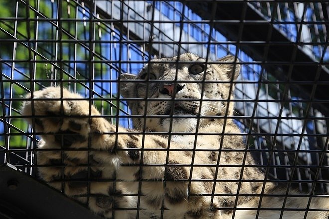 20160724ひがしかぐら森林公園キャンプ場、旭山動物園、成吉思汗 大黒屋 五丁目支店、旭川市區-065.jpg