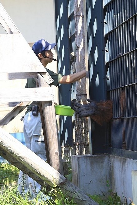 20160724ひがしかぐら森林公園キャンプ場、旭山動物園、成吉思汗 大黒屋 五丁目支店、旭川市區-069.jpg