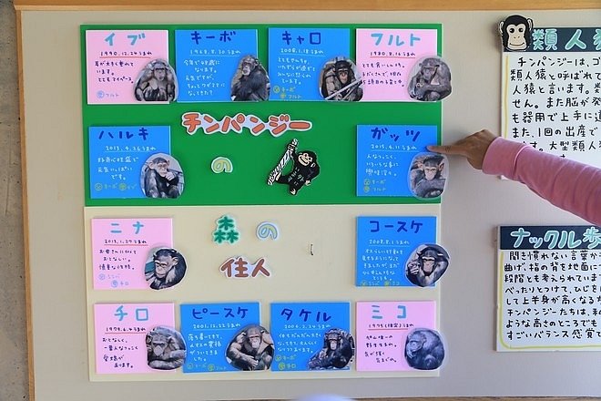 20160724ひがしかぐら森林公園キャンプ場、旭山動物園、成吉思汗 大黒屋 五丁目支店、旭川市區-079.jpg