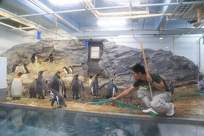 20160724ひがしかぐら森林公園キャンプ場、旭山動物園、成吉思汗 大黒屋 五丁目支店、旭川市區-100.jpg