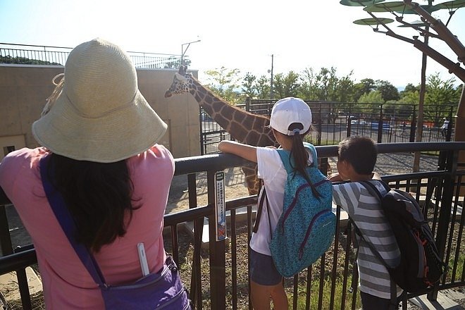 20160724ひがしかぐら森林公園キャンプ場、旭山動物園、成吉思汗 大黒屋 五丁目支店、旭川市區-102.jpg