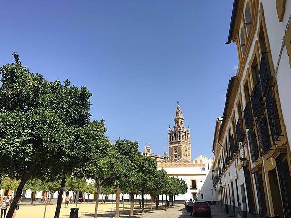 IMG_9824