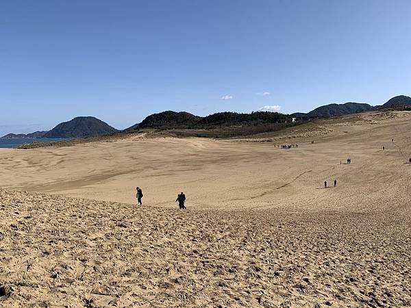 IMG_0642.jpg
