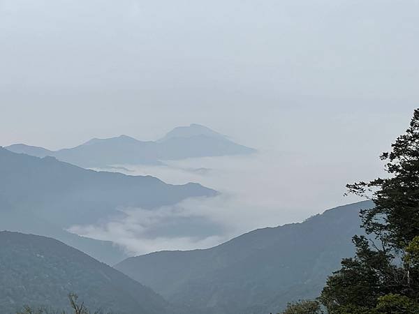 IMG_5364.jpg
