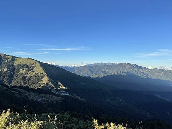 IMG_5353.jpg
