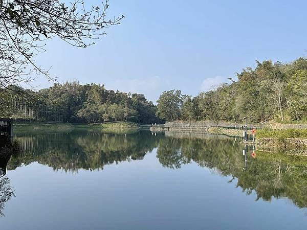 IMG_4313.jpg