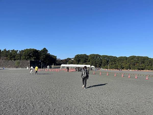IMG_0135.jpg