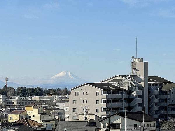 IMG_2694.jpg