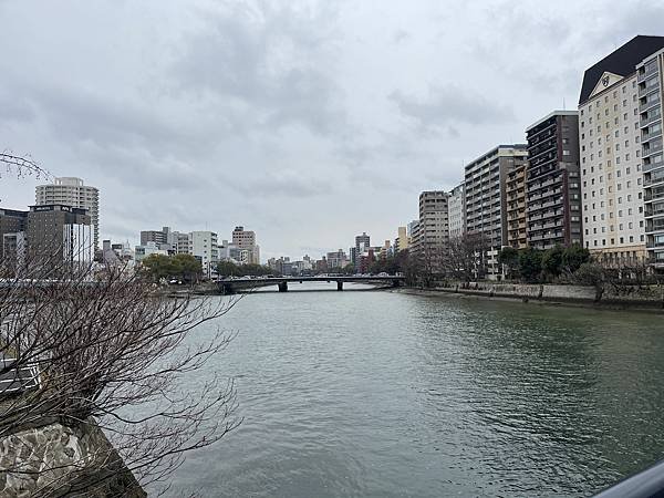 IMG_5965.jpg