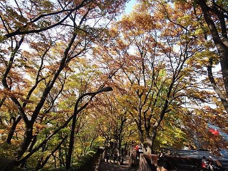國家公園 (28)