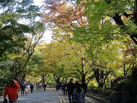 國家公園 (48)