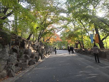 慶熙大學楓紅 (40)