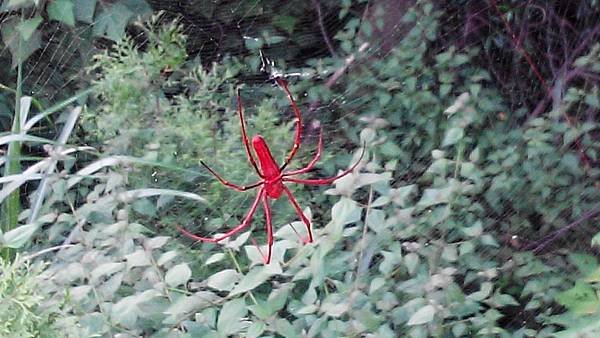 IMG_20140907_163044