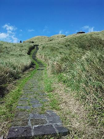 IMG_20150909_091518.jpg