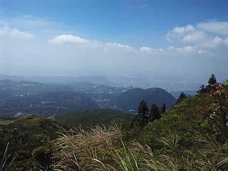 IMG_20150909_100520.jpg