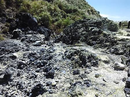 IMG_20150909_120222.jpg