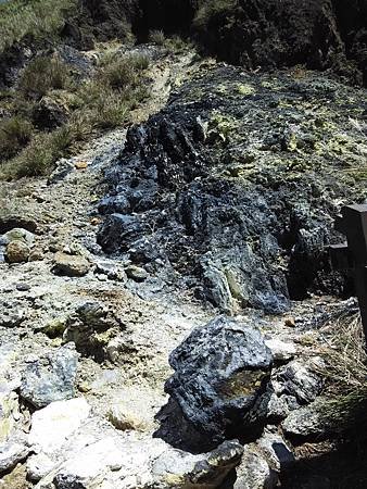 IMG_20150909_121651.jpg