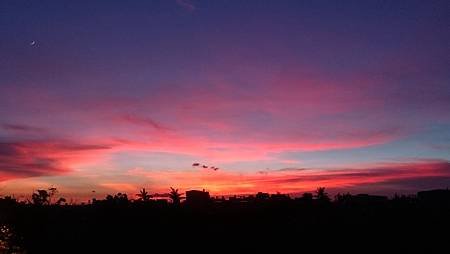 DSC_1219.JPG