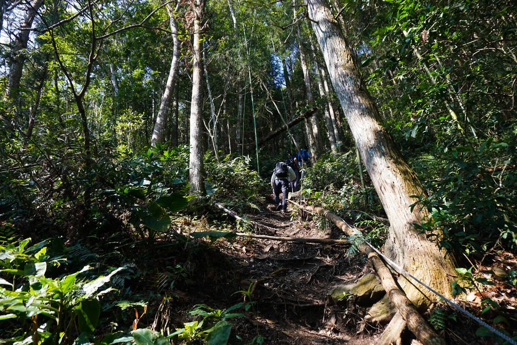 180317 [尖石] 高島縱走：高台山、小島田山、中島田山