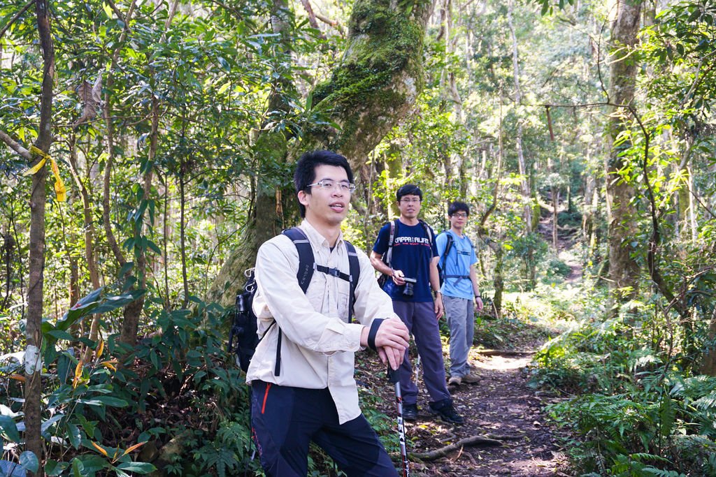 180317 [尖石] 高島縱走：高台山、小島田山、中島田山