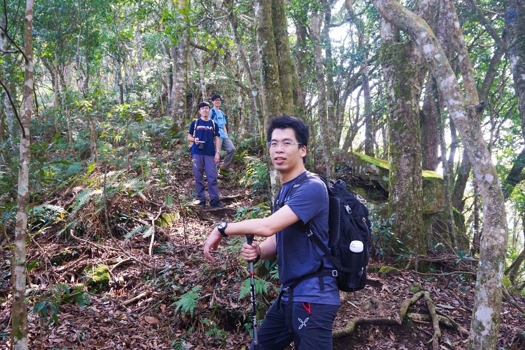 180317 [尖石] 高島縱走：高台山、小島田山、中島田山