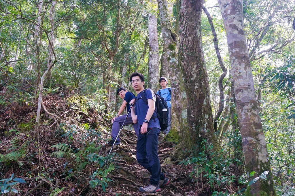 180317 [尖石] 高島縱走：高台山、小島田山、中島田山