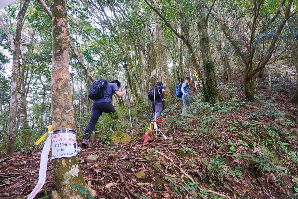 180317 [尖石] 高島縱走：高台山、小島田山、中島田山