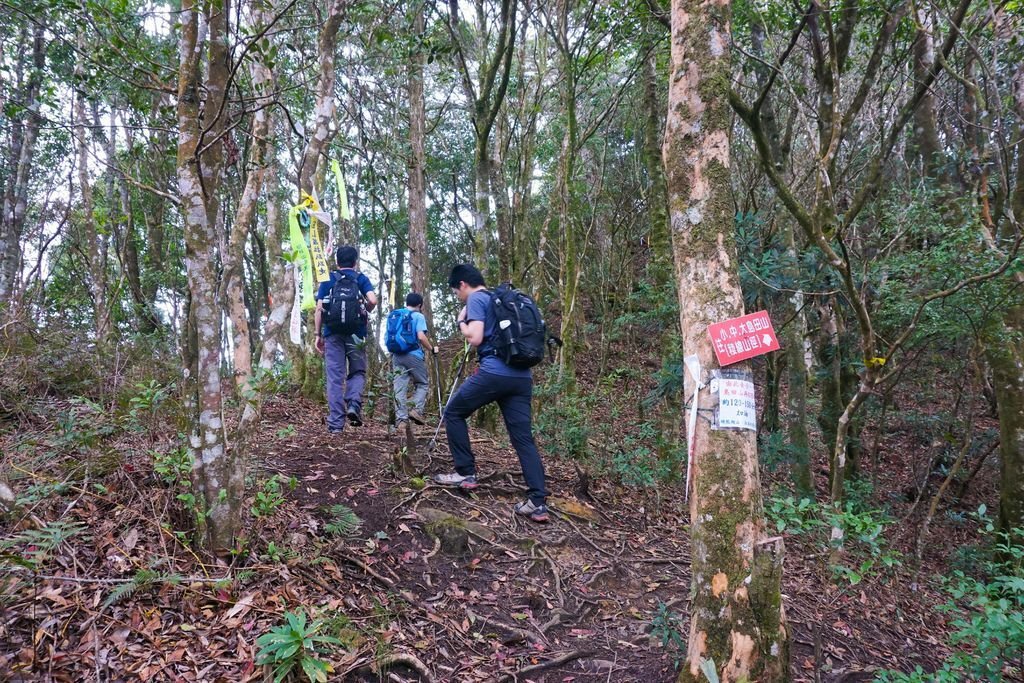 180317 [尖石] 高島縱走：高台山、小島田山、中島田山