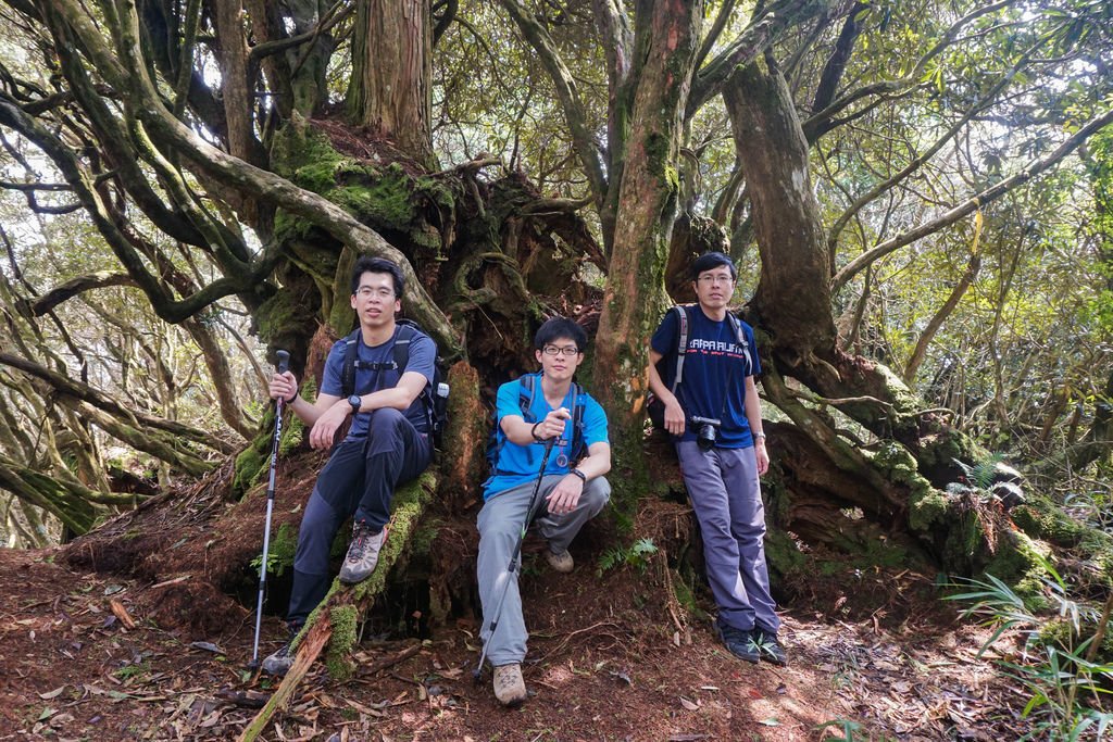 180317 [尖石] 高島縱走：高台山、小島田山、中島田山