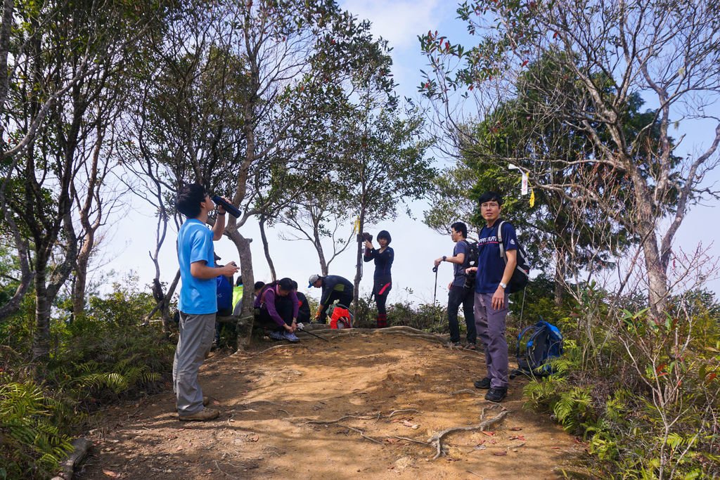 180317 [尖石] 高島縱走：高台山、小島田山、中島田山