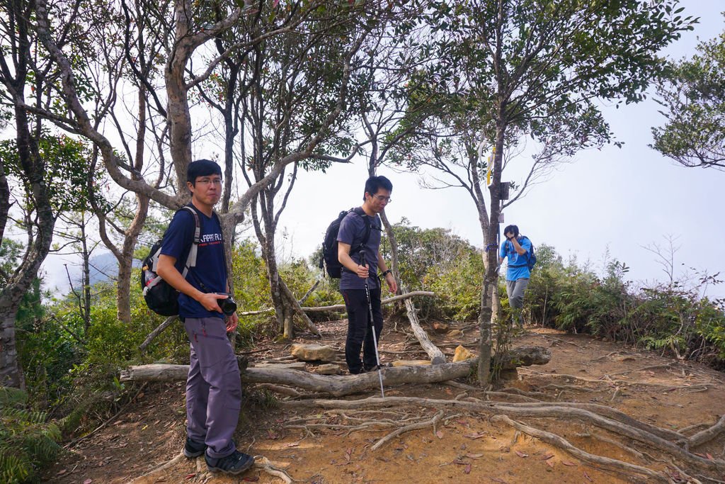 180317 [尖石] 高島縱走：高台山、小島田山、中島田山