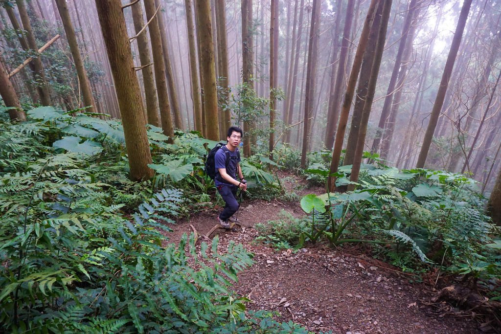 180317 [尖石] 高島縱走：高台山、小島田山、中島田山