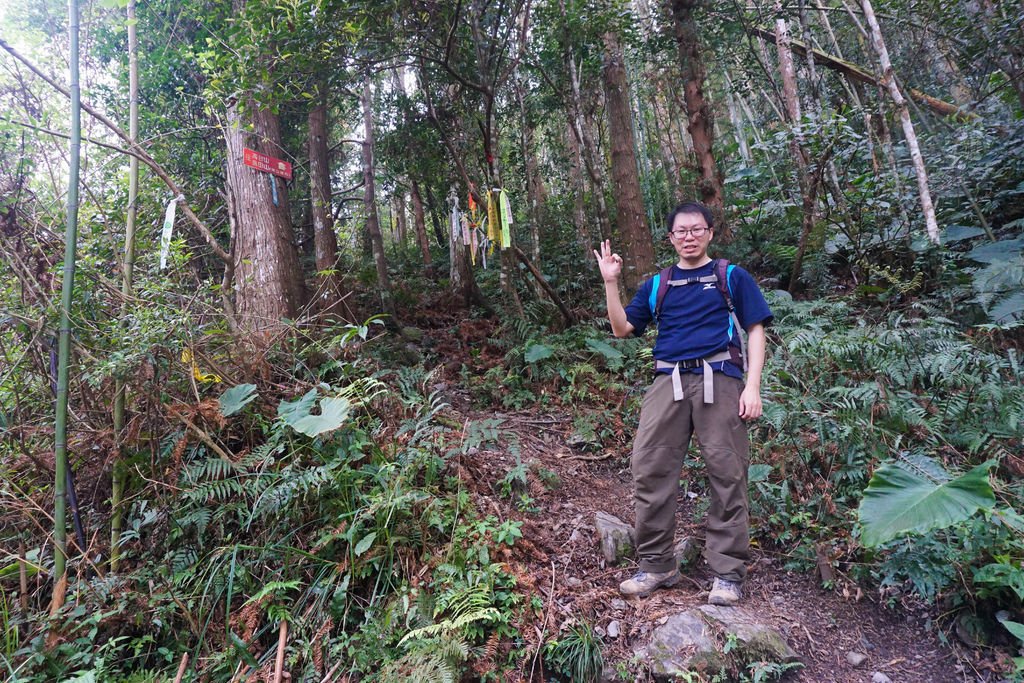 180317 [尖石] 高島縱走：高台山、小島田山、中島田山