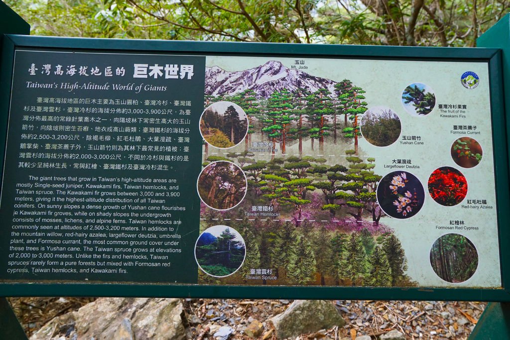 180330-0331 [百岳] 玉山西主東峰 2nd：玉山