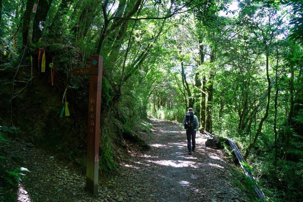 180608-0610 [百岳] 能高主峰、卡賀爾山、尾上山