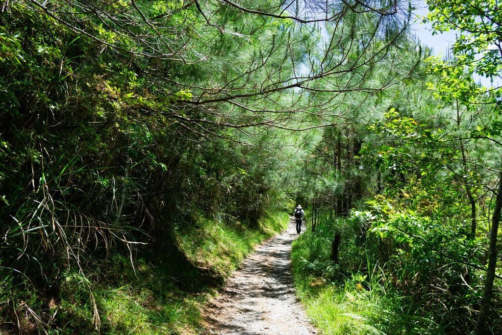 180608-0610 [百岳] 能高主峰、卡賀爾山、尾上山