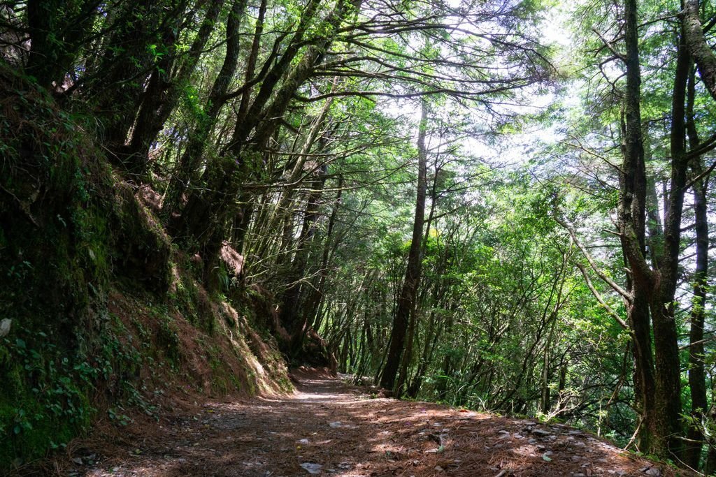 180608-0610 [百岳] 能高主峰、卡賀爾山、尾上山