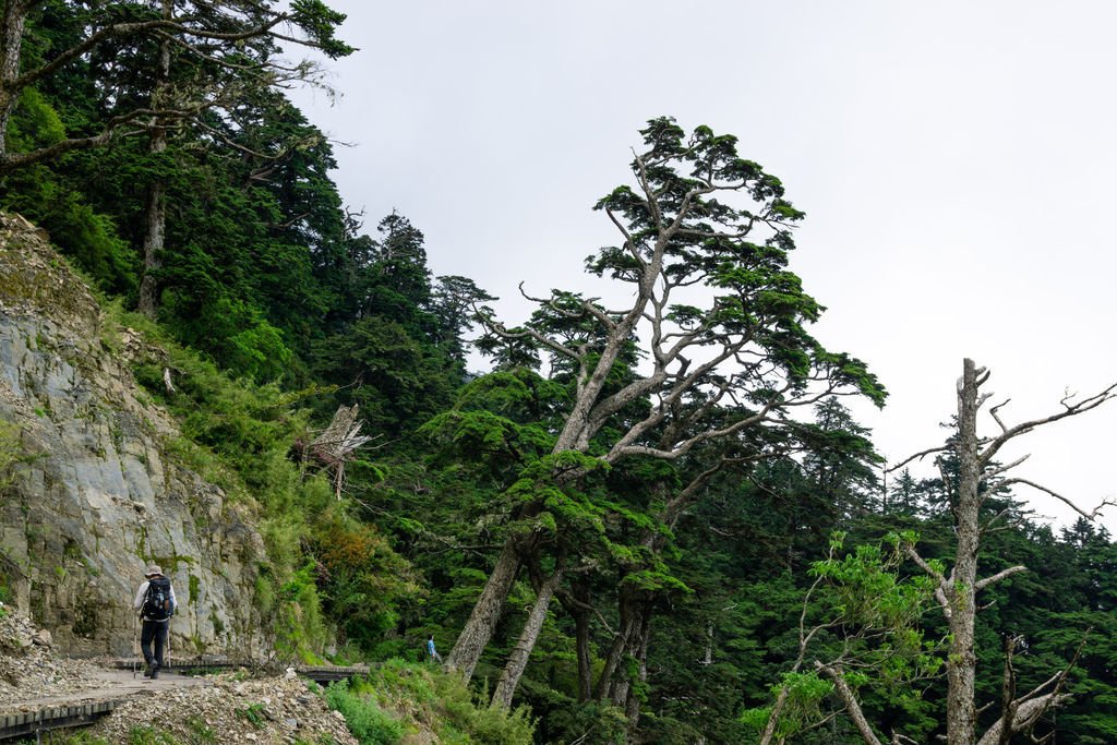 180608-0610 [百岳] 能高主峰、卡賀爾山、尾上山