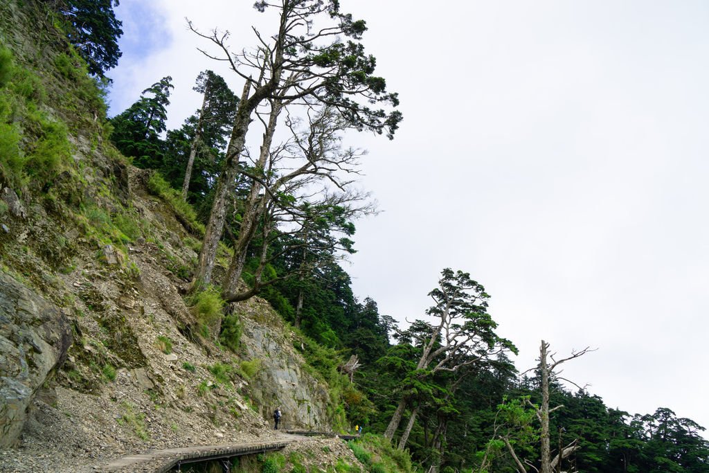 180608-0610 [百岳] 能高主峰、卡賀爾山、尾上山